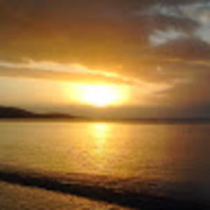 Meet your Posher, Bibiwife